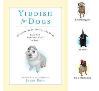 Yiddish for dogs, spéciale dédicace à Dieudonné !