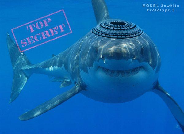 Vous avez dit Mossad ?