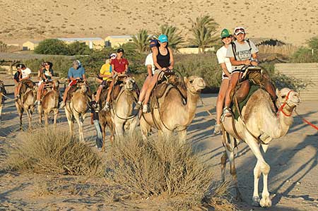 Photo représentant de jeunes touristes juifs sur des chameaux en Israël Jewpop