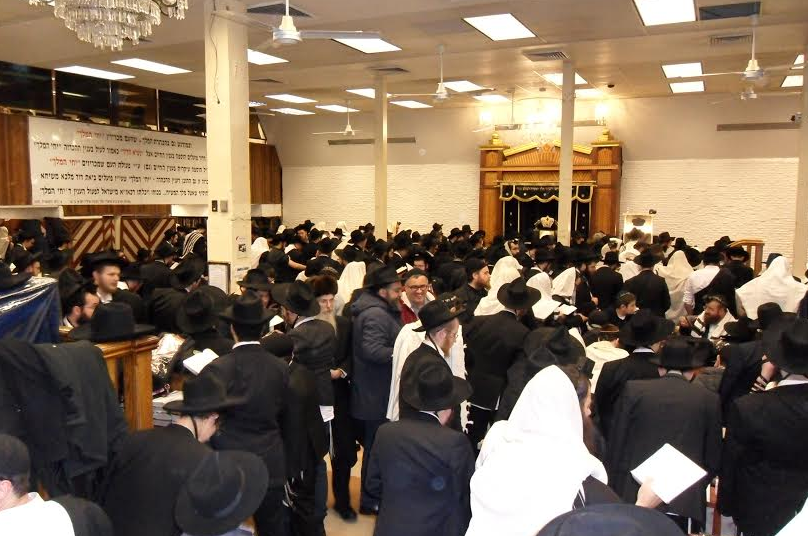 NY-Loubavitch-JewPop