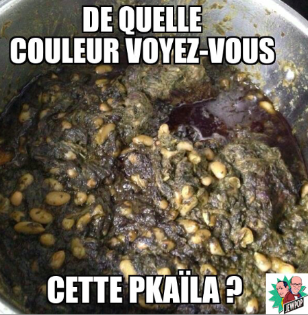 Appel à contributions : après #TheDress, #ThePkaïla, le complot tune